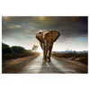Akoestisch paneel - Walking Elephant - Villa Stijlvol