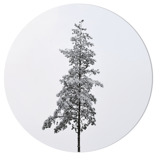 Eigenlijk Mangel Wolf in schaapskleren Muurcirkel - Sneeuw kerstboom | Villa Stijlvol