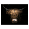 Tuindoek - Tuinposter - Schotse hooglander bruin
