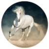 Muurcirkel - Wit paard