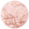 Muurcirkel Amandelbloesem roze