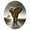 Wandpaneel ovaal - Lopende olifant