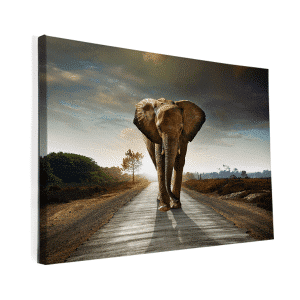 Canvas - Lopende olifant